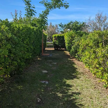 Duplex En Bord De Avec Jardin Prive Et Acces Direct A La Plage, Climatisation, Parking Et Internet. - Fr-1-250-282 * La Grande-Motte